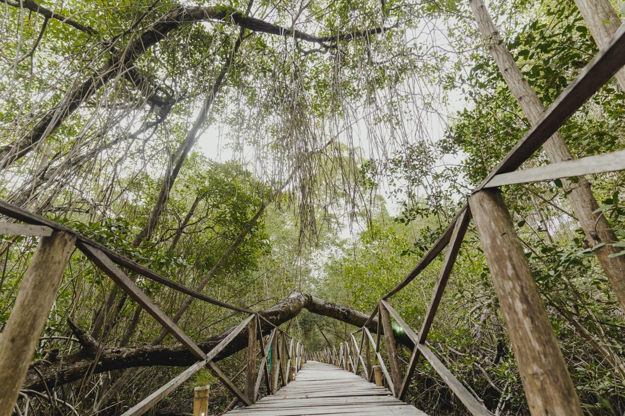 Uuttaaka Eco-Hotel Palomino Εξωτερικό φωτογραφία