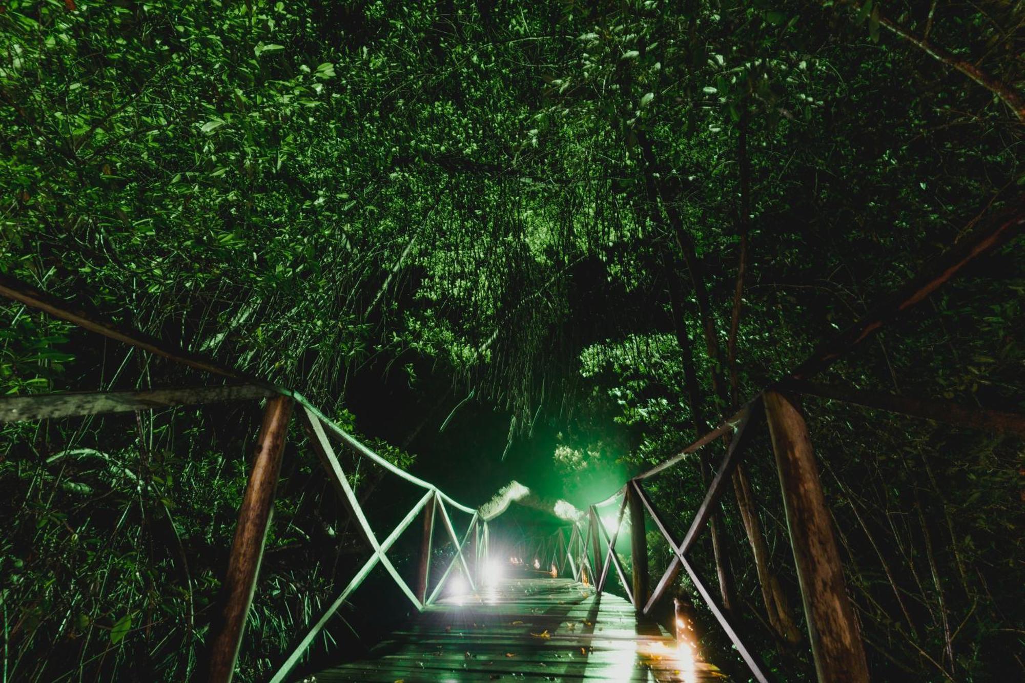 Uuttaaka Eco-Hotel Palomino Εξωτερικό φωτογραφία